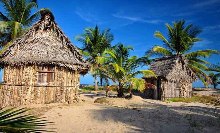 Thatched buildings among palm trees in Punta Gorda