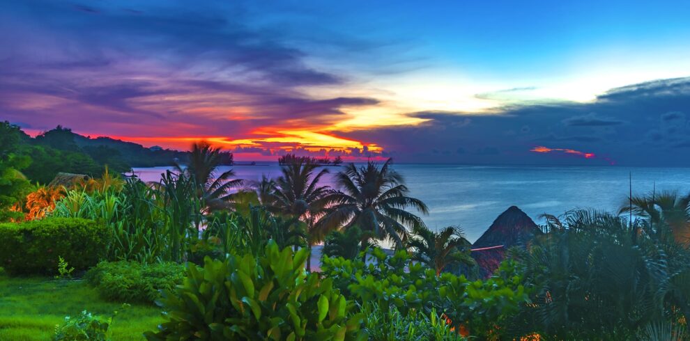 roatan-visitor-tours-service