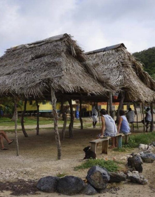 Roatan Visitor Private Tour