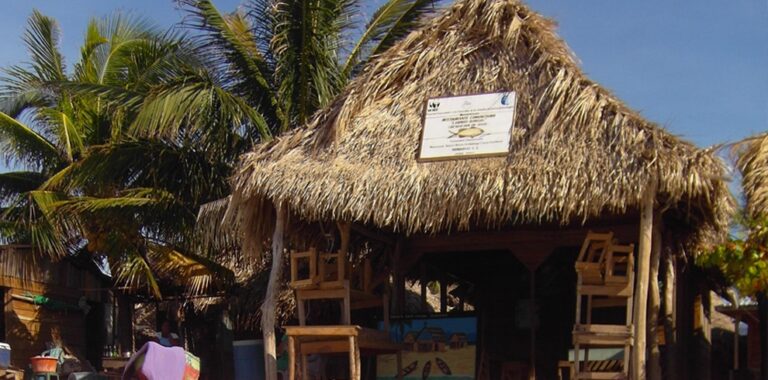 A thatched-roof building in Punta Gorda