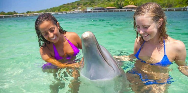 Dolphins Encounters