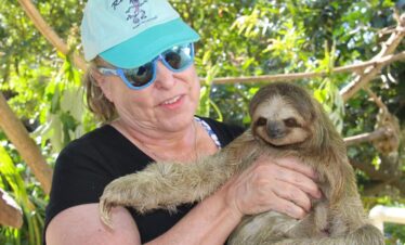 sloths in Roatan