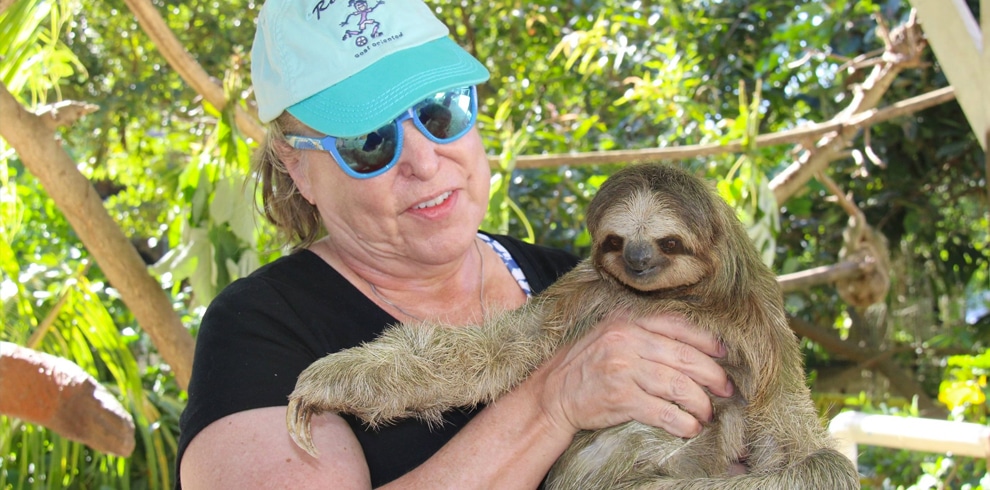 sloths in Roatan