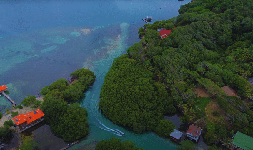Do You Actually Need a Tour in Roatán? Sometimes, No.