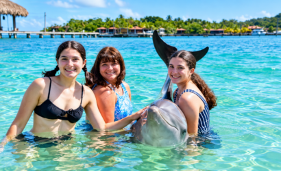 Visitor during a dolphin encounter in Roatan